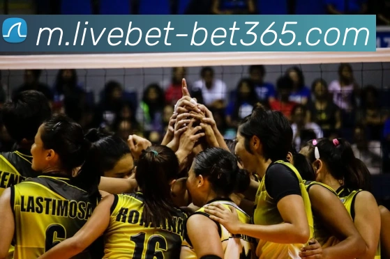 bet365平台生态图